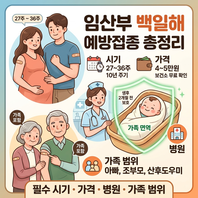 임산부 성인 백일해 예방접종 시기 가격 병원 가족 범위 총정리