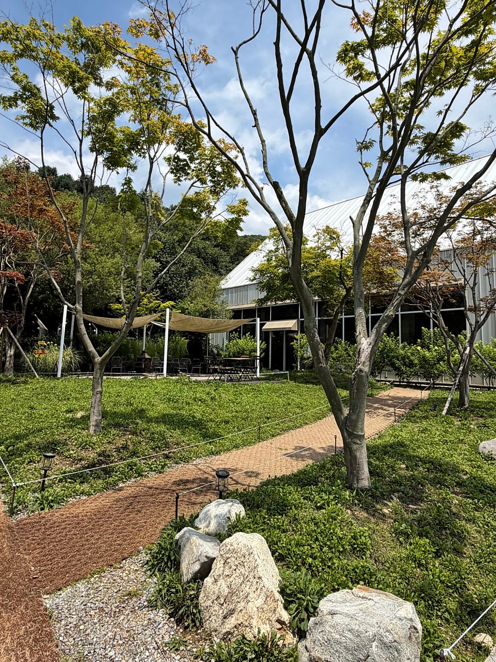 필무드 사진 3