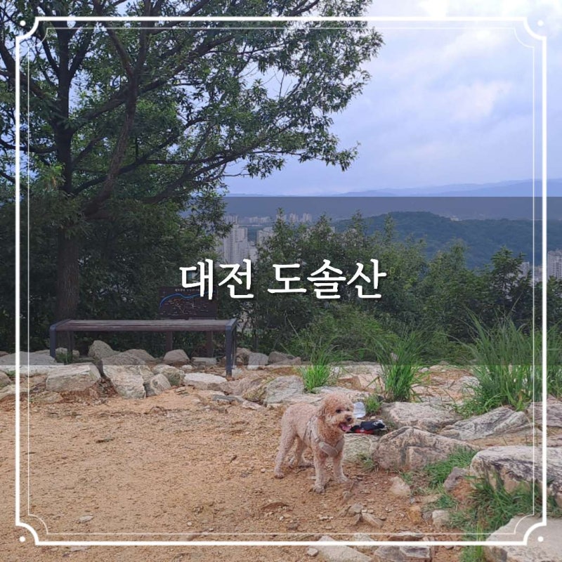 대전 도솔산 애견동반 산행 도솔다목적체육관 등산코스