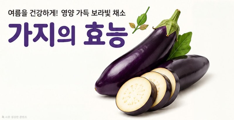 가지 효능부터 영양성분까지! 가지 특징, 활용 요리와 맛있게 먹는 법 총정리