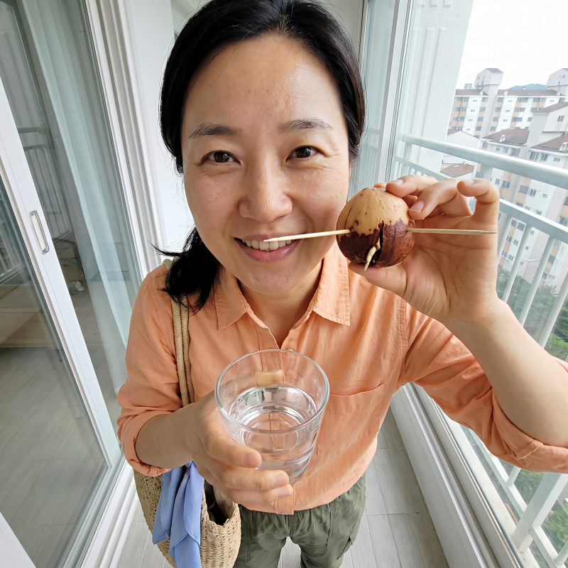"먹고 남긴 씨앗을 물에 꽂았더니 3주 만에 뿌리가" 아보카도 키우기 씨앗 발아 물꽂이 성공....