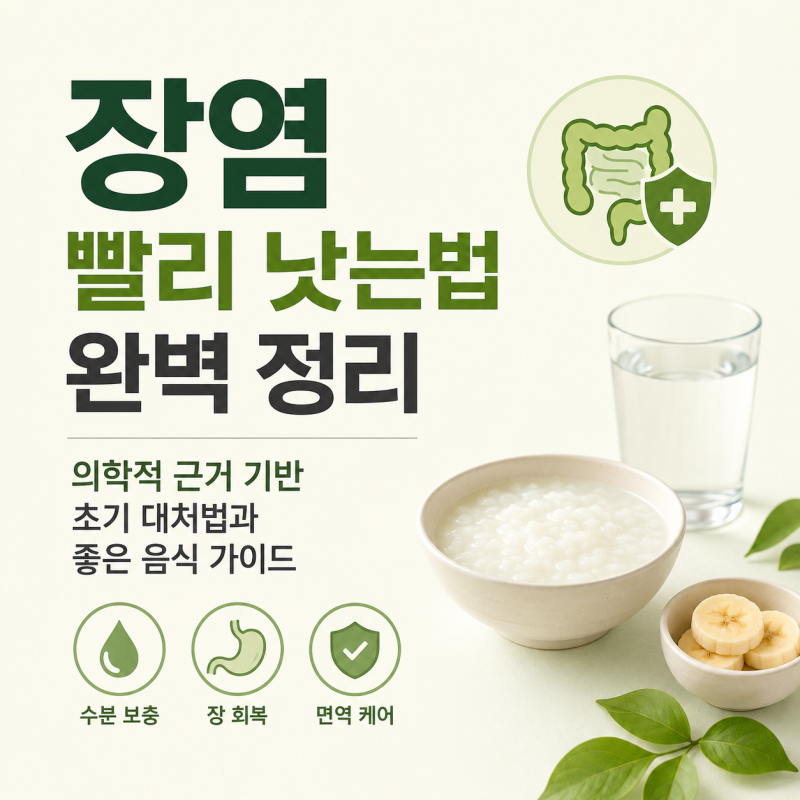 장염 빨리 낫는법 완벽 정리: 의학적 근거 기반 초기 대처법과 좋은 음식 가이드