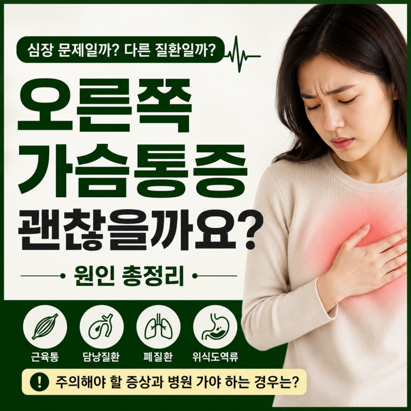 오른쪽 가슴통증 원인 총정리｜근육통부터 담석, 폐질환까지 알아보기