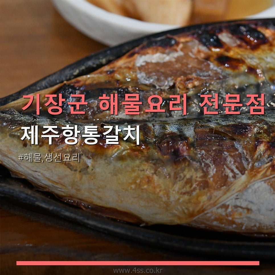 제주항통갈치 사진 1