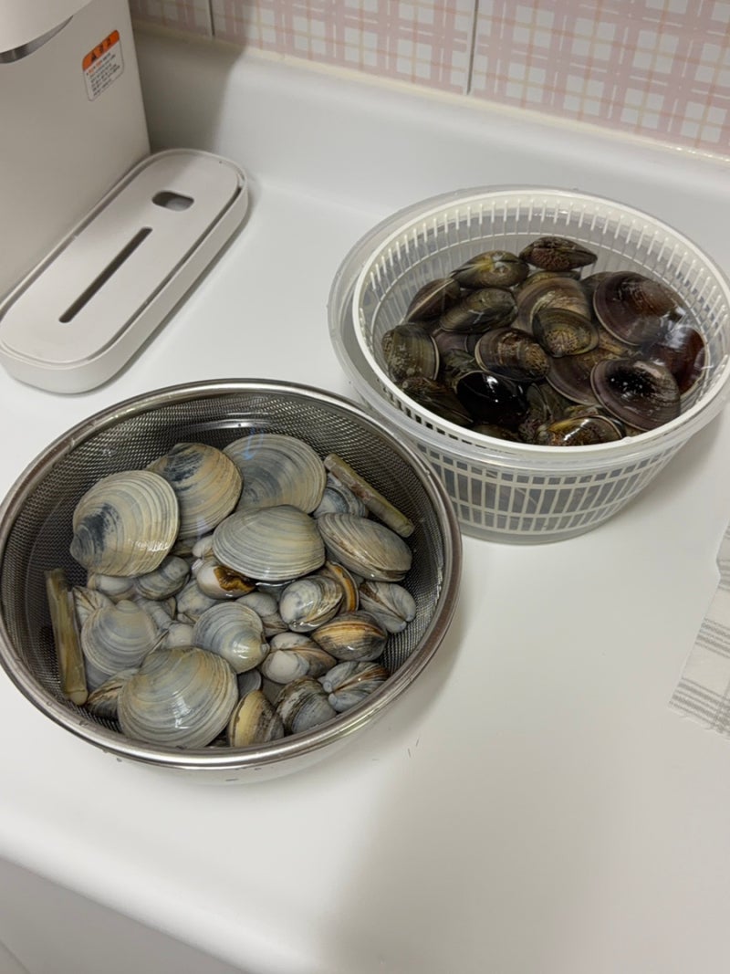 인천 영종도 마시안 갯벌 아이도 어른도 재밌는 조개 잡이 체험 조개 해감 방법