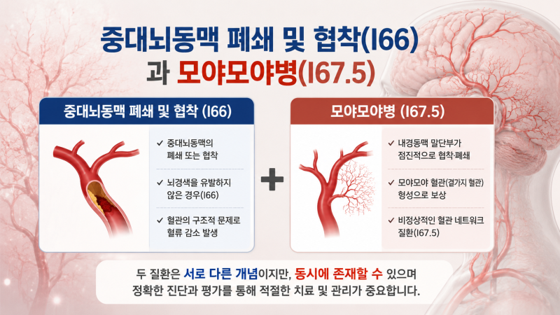 [ 모야모야병 사례 ] 모야모야병(I67.5)도 뇌졸중 진단비 지급! 질병코딩지침보다 약관해석이 ....