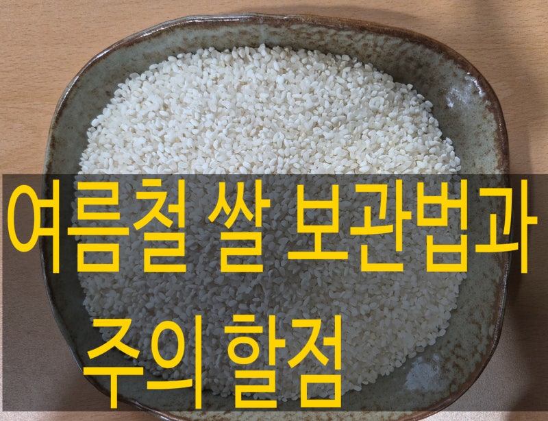 여름철 쌀 보관법 - 벌레 없이 신선하게 유지하는 꿀팁!