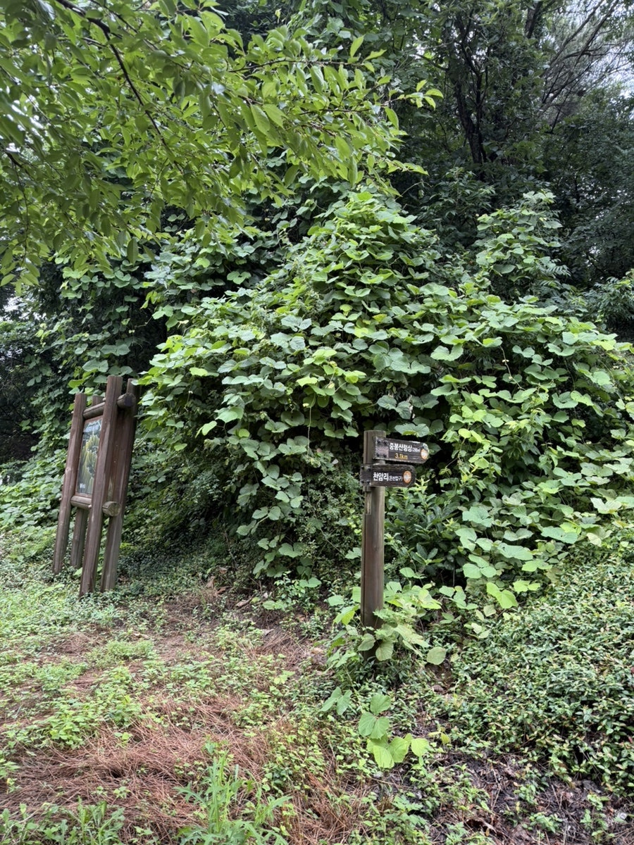 중봉산 사진 2