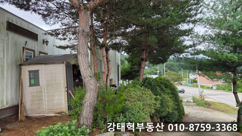 국화저수지 사진 3