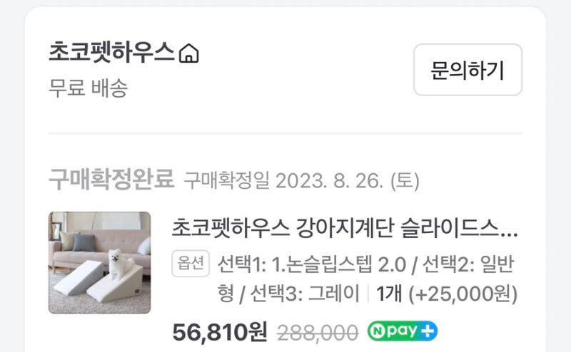 초코펫하우스 논슬립스텝 2.0 중형 3년 실사용 솔직 후기