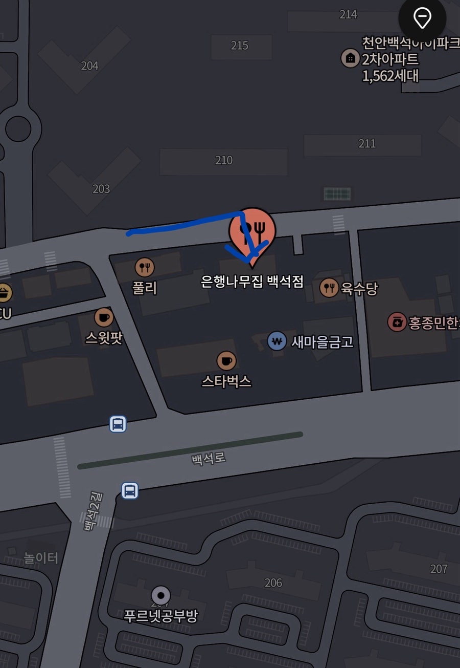 은행나무집 사진 2