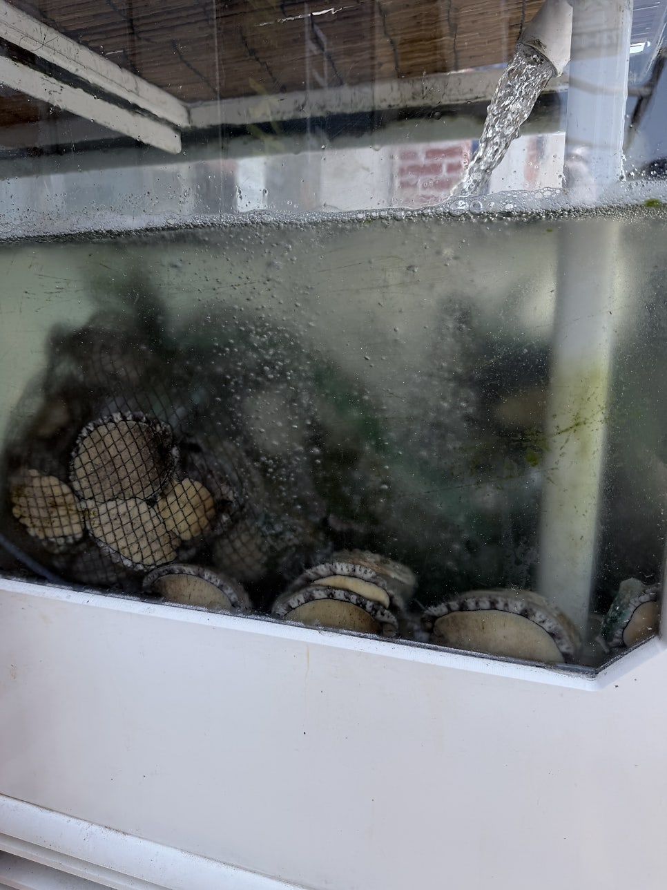 바다마루전복죽 사진 6