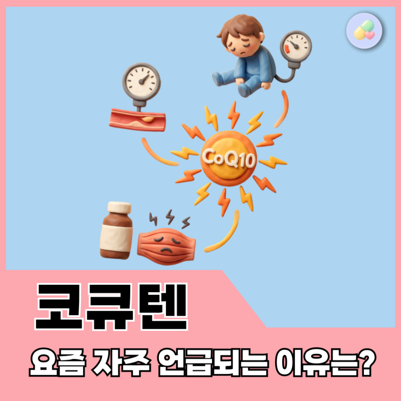 코큐텐이 혈압, 피로, 고지혈증약 근육통에 좋다고? (약사의 팩트 총정리)
