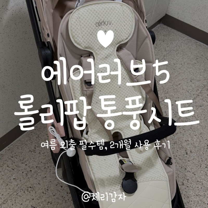 폴레드 에어러브5 롤리팝 통풍시트 2개월 사용 후기