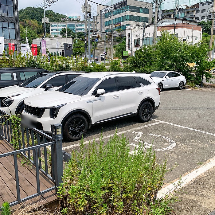 코지하우스 포항남구점 사진 2