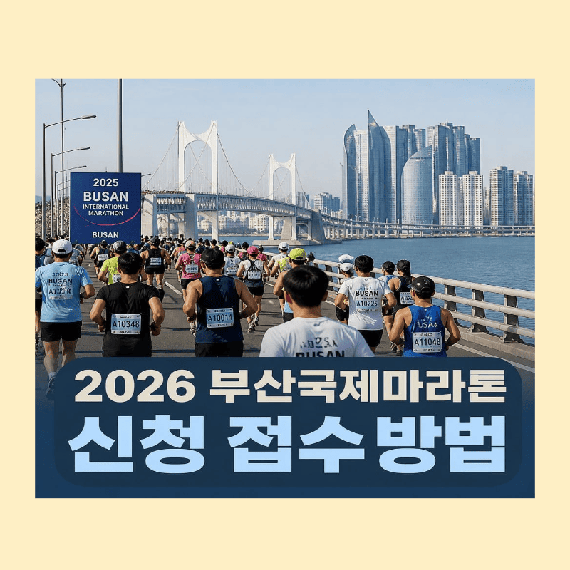 부산국제마라톤 2026 신청 접수 방법 대회 일정 코스 브릿지