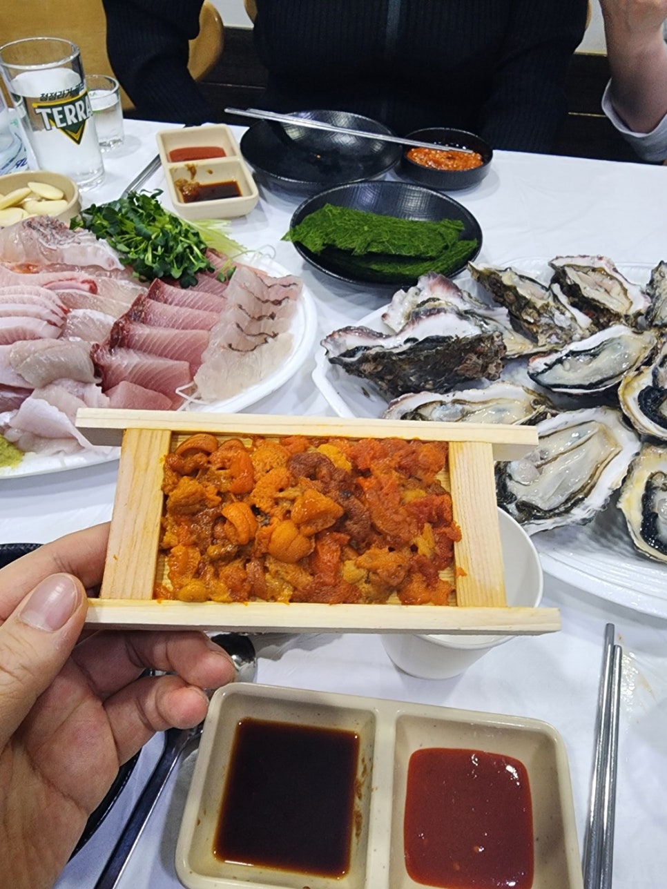 바다회센타 사진 5