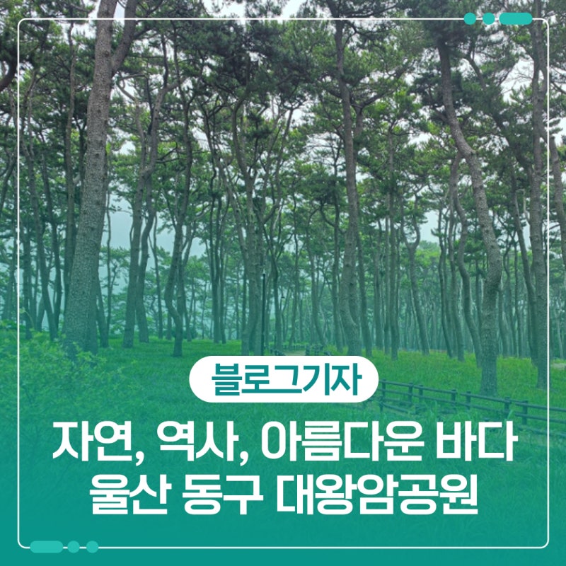 울산 동구 자연과 역사, 아름다운 바다가 함께하는 대왕암공원의 모든 것