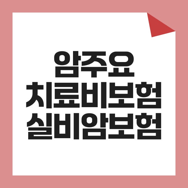 암주요치료비 보험 실비암보험 진단비와 치료비 보장 차이 알아보기