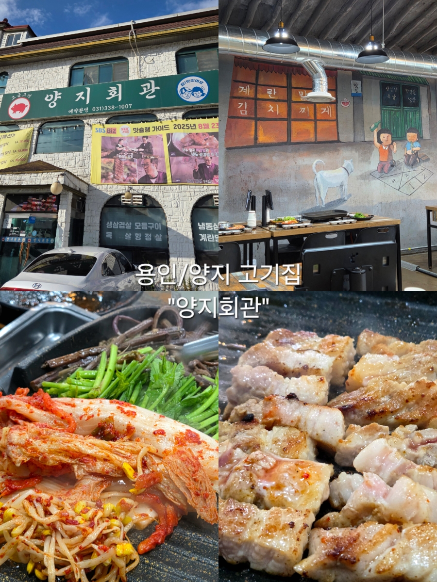 양지회관 사진 1