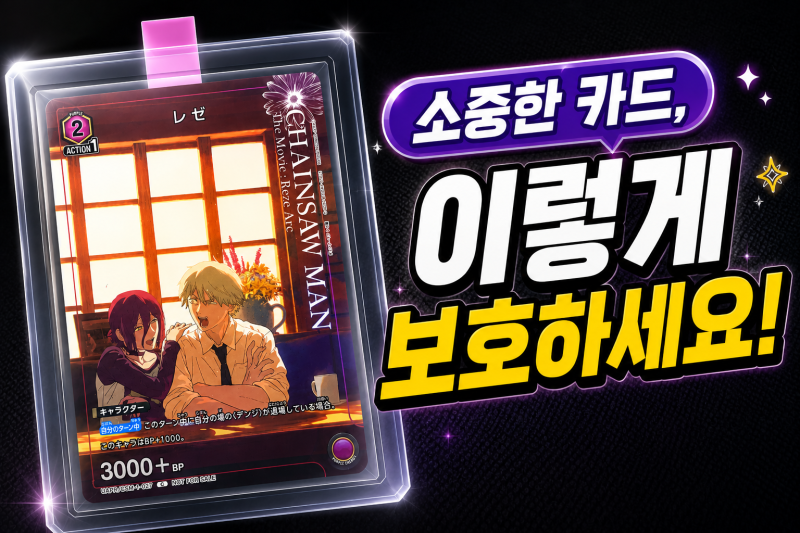 TCG카드, 포켓몬카드 보관하는 방법
