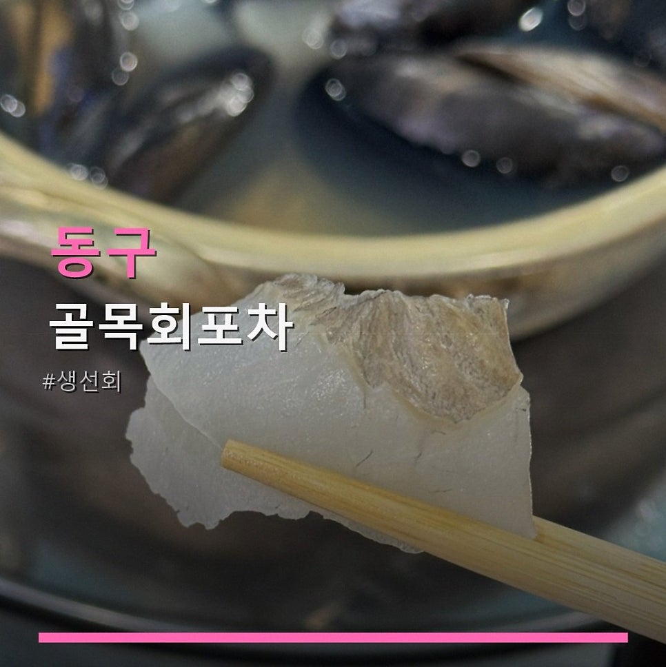 골목회포차 사진 1