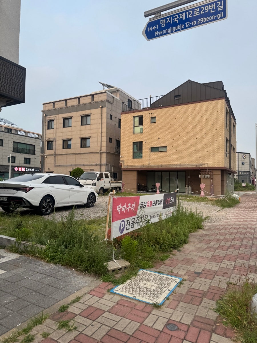 딱따구리 사진 4