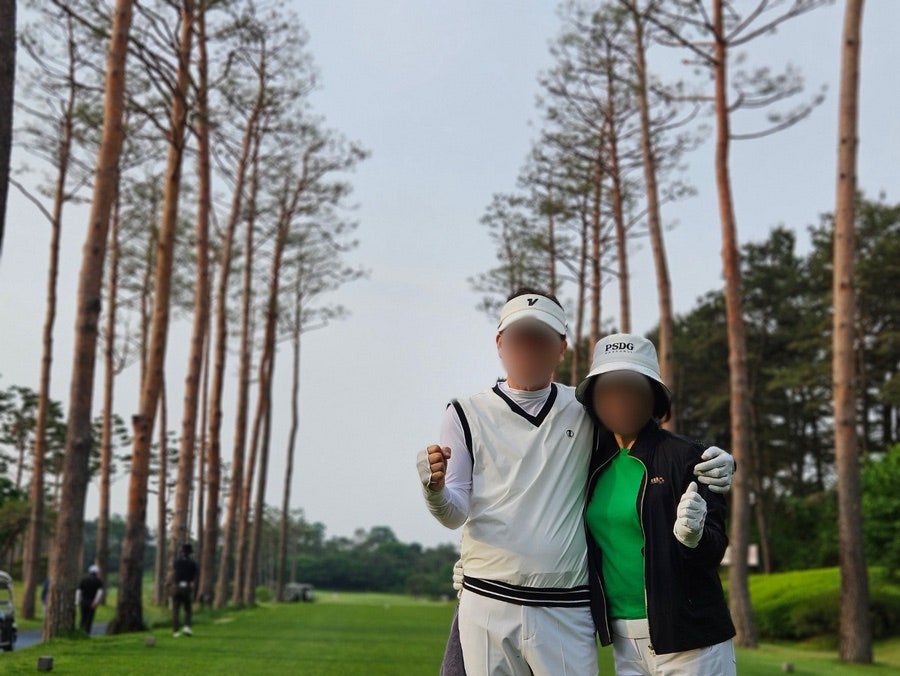 소나무 사진 5