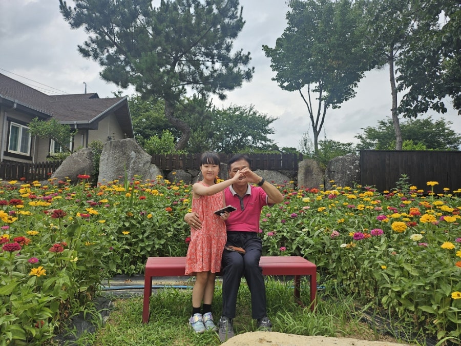 이안에들꽃 사진 3