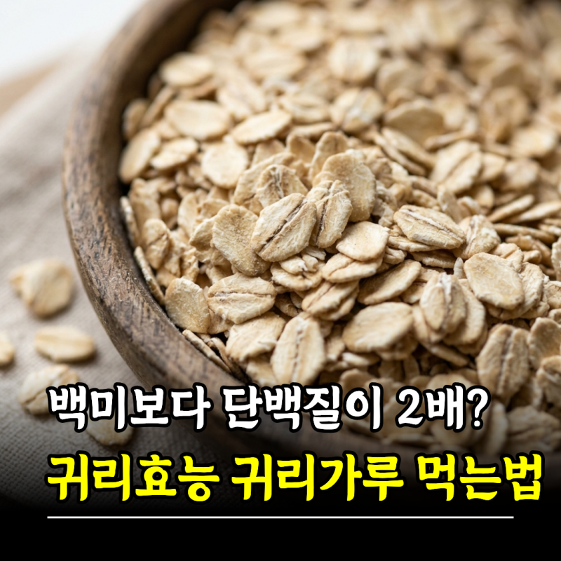 백미보다 단백질이 2배? 귀리 효능 귀리가루 먹는법