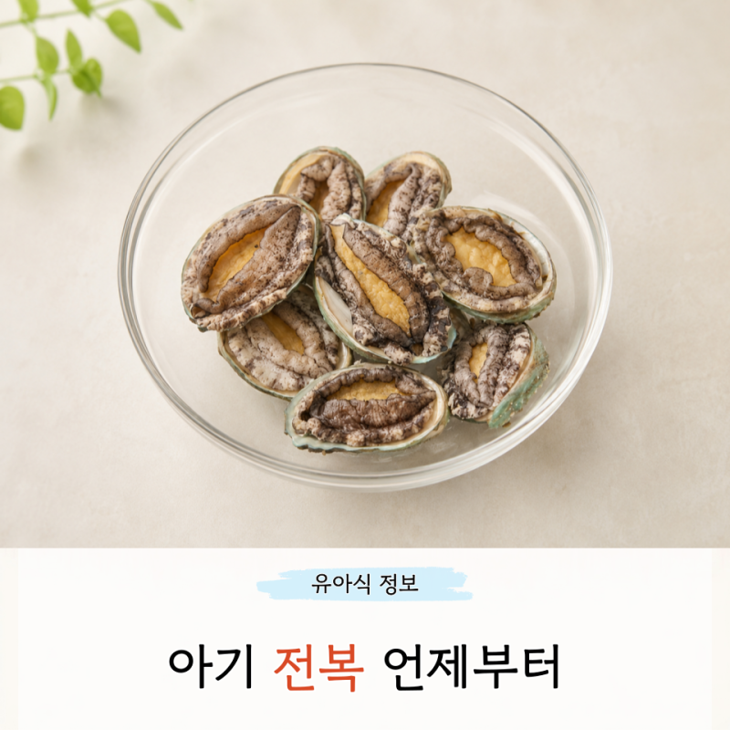아기 전복 언제부터 손질법 내장 사용 가능할까 시기