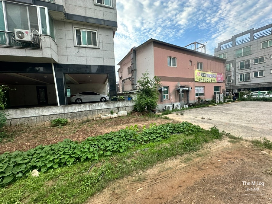 두손고기 사진 4