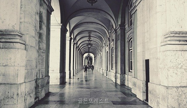 포레스트 사진 5