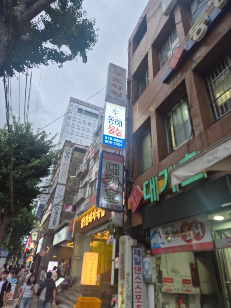 [부산 서면 노포 맛집] 국물 없이 비벼 먹는 포항식 전통 물회 '동해물회' 솔직 내돈내산 후기....
