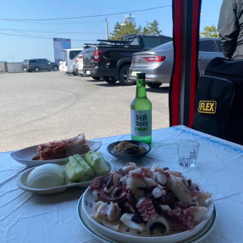 [강릉 맛집 추천]강릉 소돌항 수진네 문어숙회,해산물 포장마차 해산물맛집 문어맛집