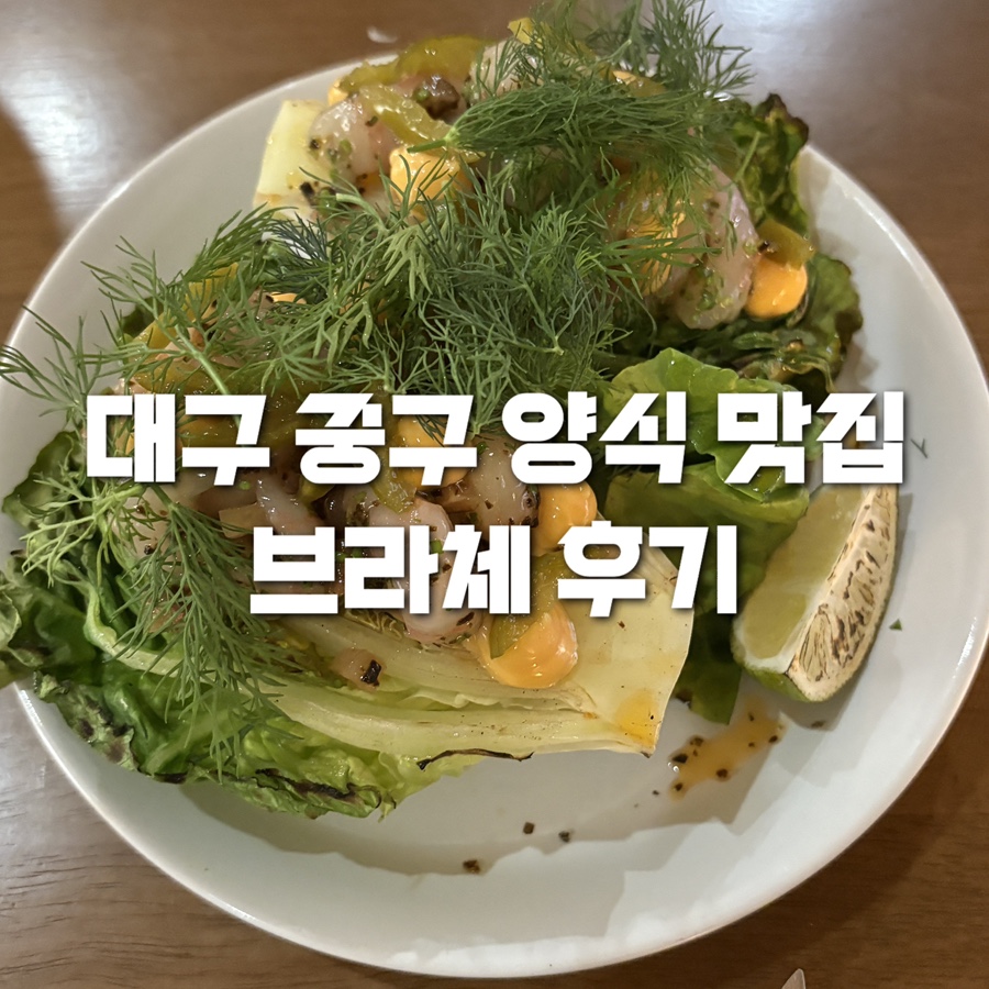 브라체 사진 1