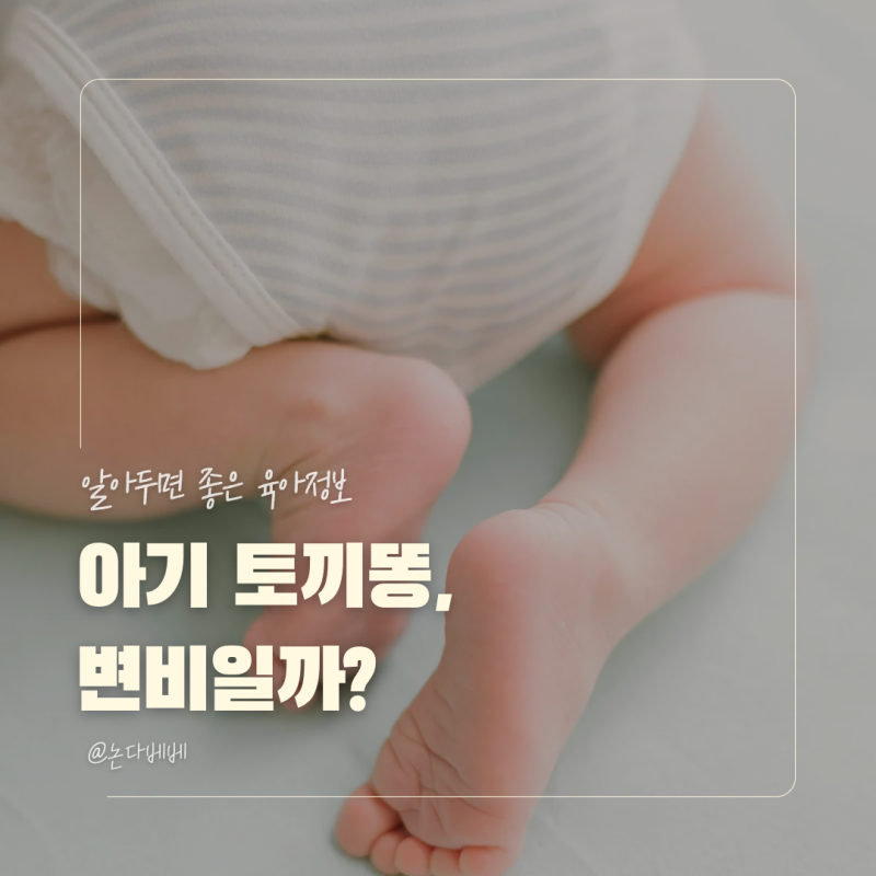 아기 토끼똥 싸는 이유, 변비일까? 월령별 해결 방법