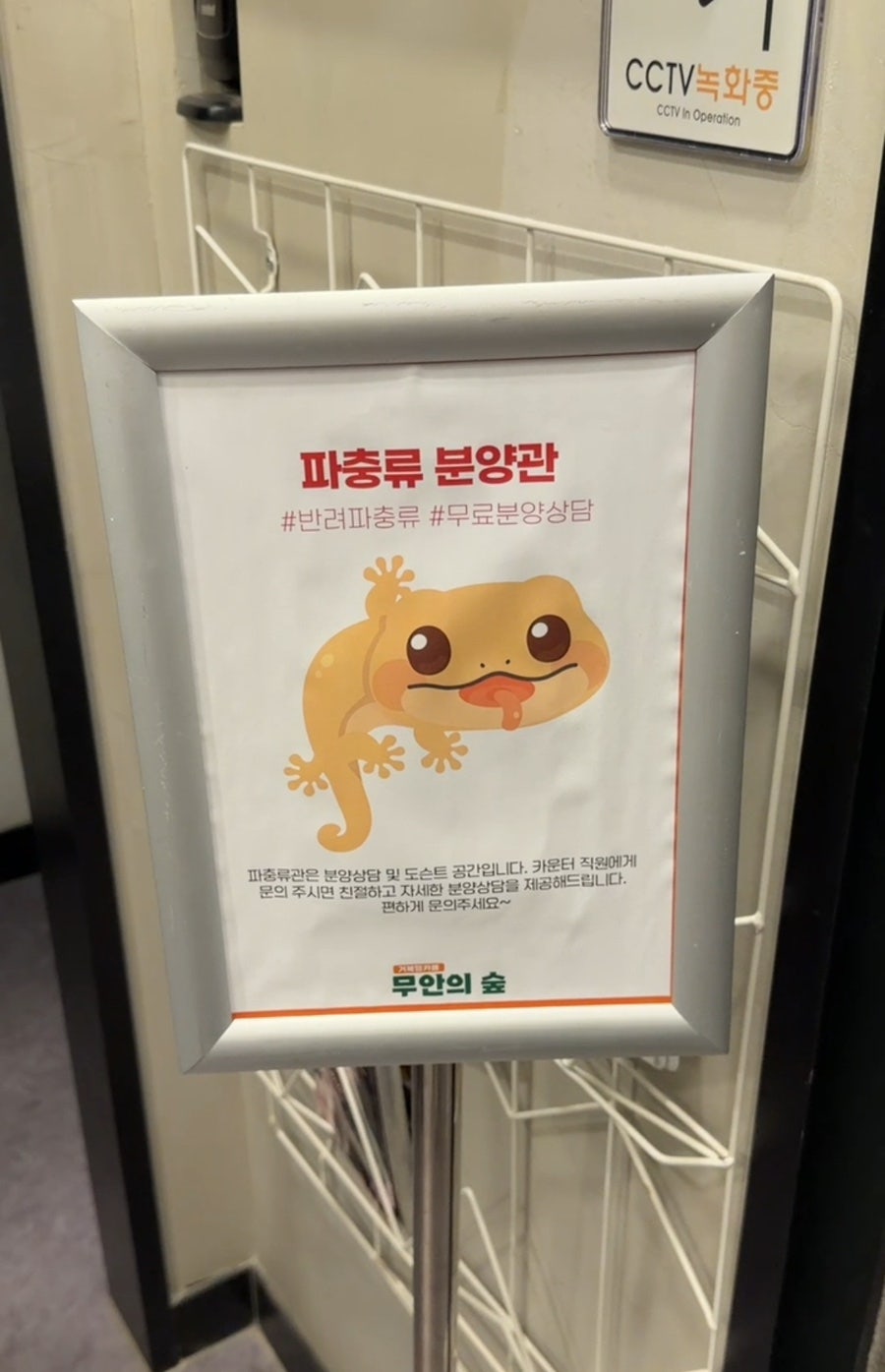 무안의숲 사진 6