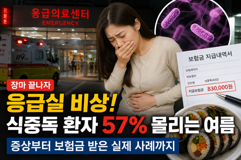 장마 끝나자 응급실 비상! 식중독 환자 57% 몰리는 여름…증상부터 보험금 받은 실제 사례까....