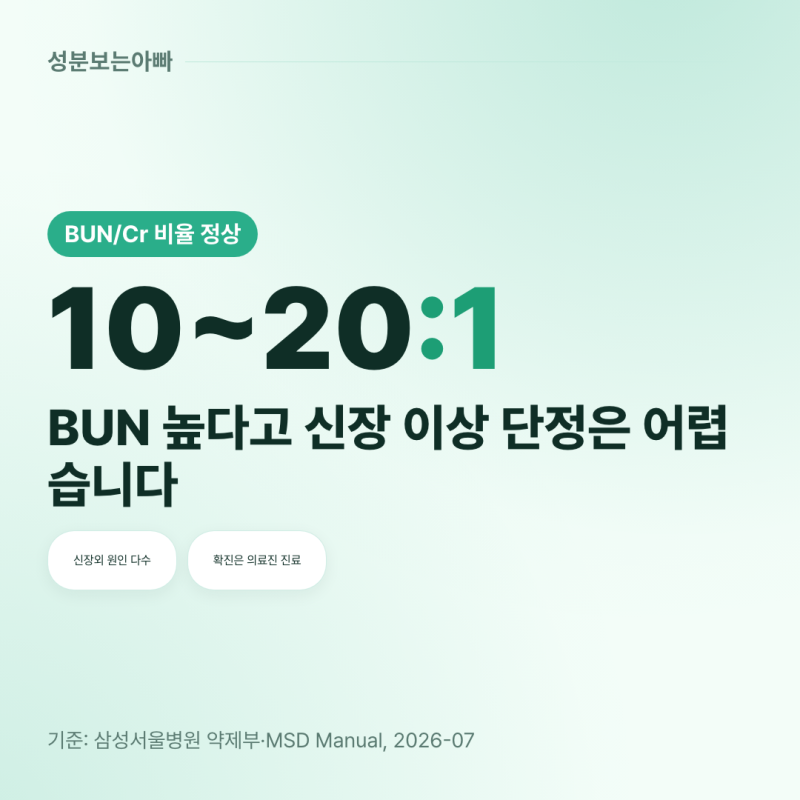 BUN 수치가 높으면 신장이 나쁜 걸까, 원인부터 보기