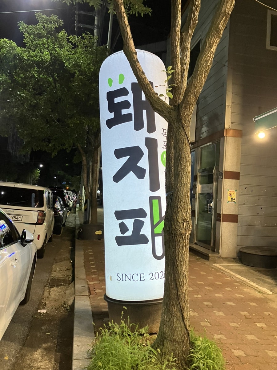 돼지파 사진 2