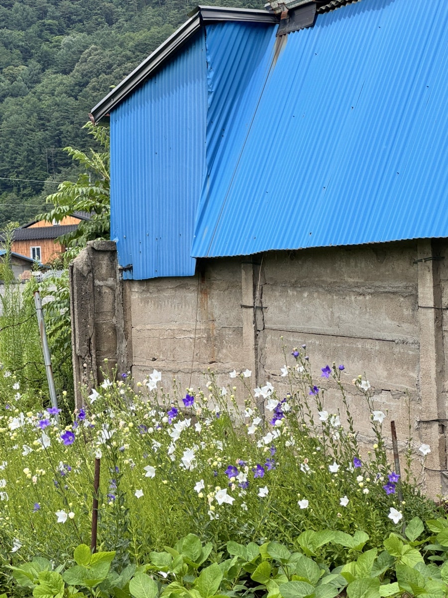 번영식당 사진 5