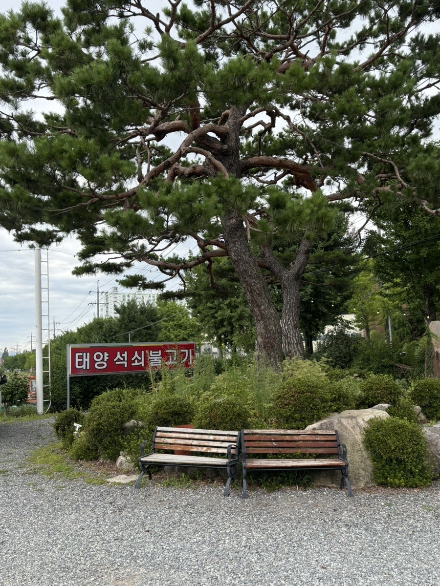 태양구이구이 사진 1