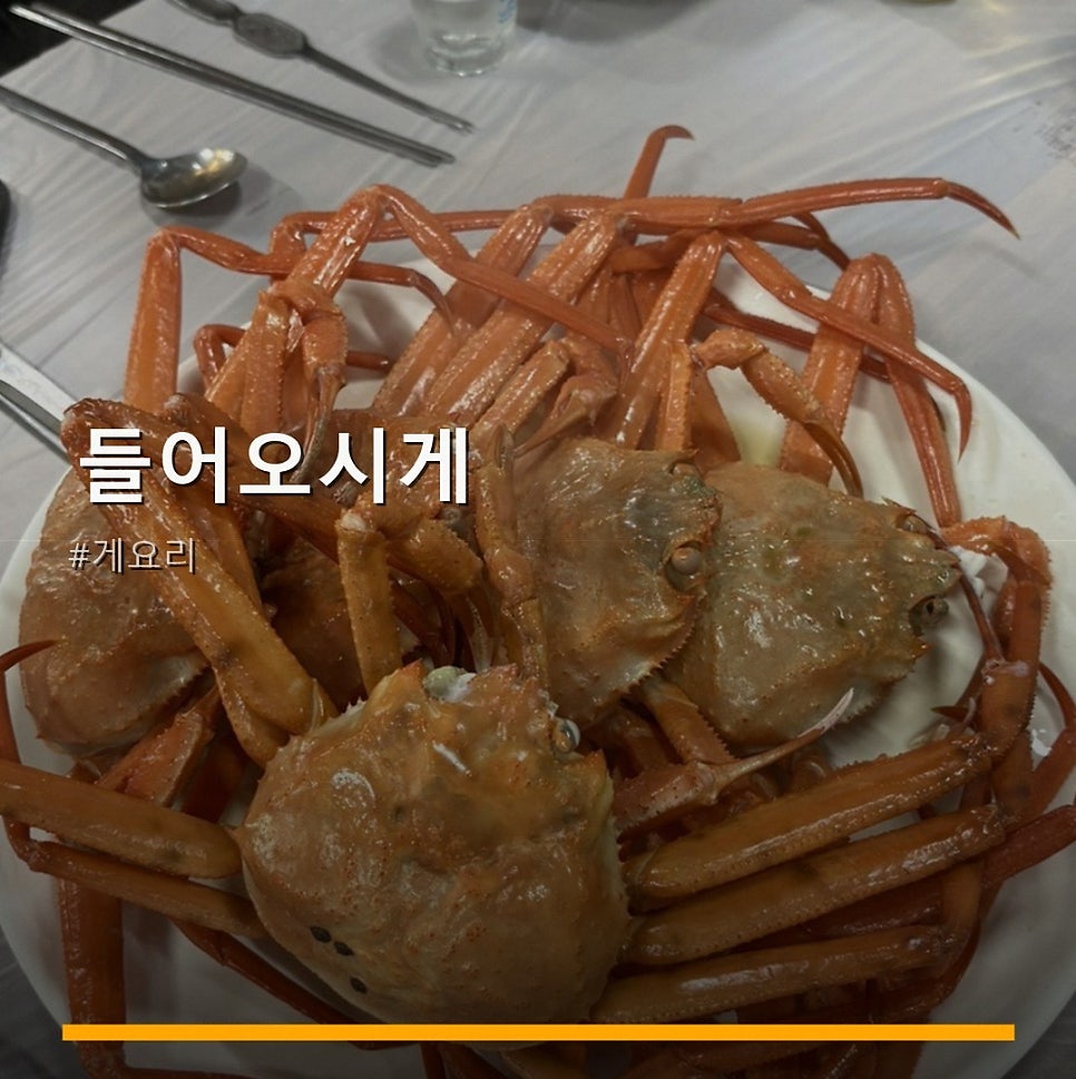 들어오시게 사진 1