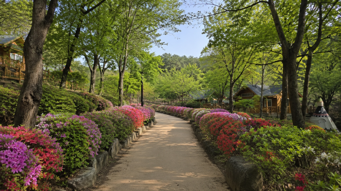 용인자연휴양림 입장료 2,000원, 캠핑·숙박·계곡 산책 총정리