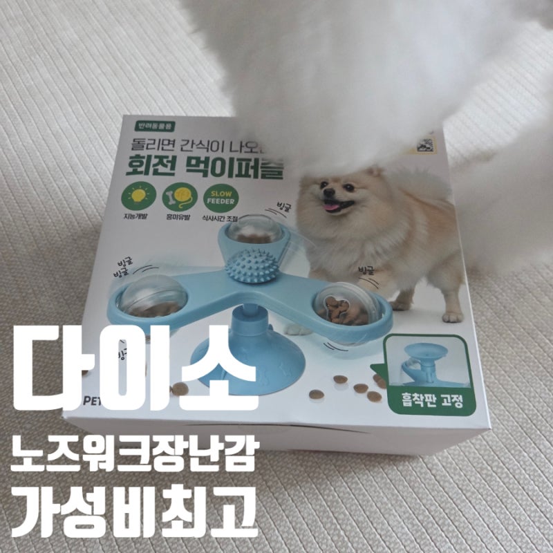 다이소 강아지 장난감 추천! 3,000원 노즈워크 장난감 솔직 후기