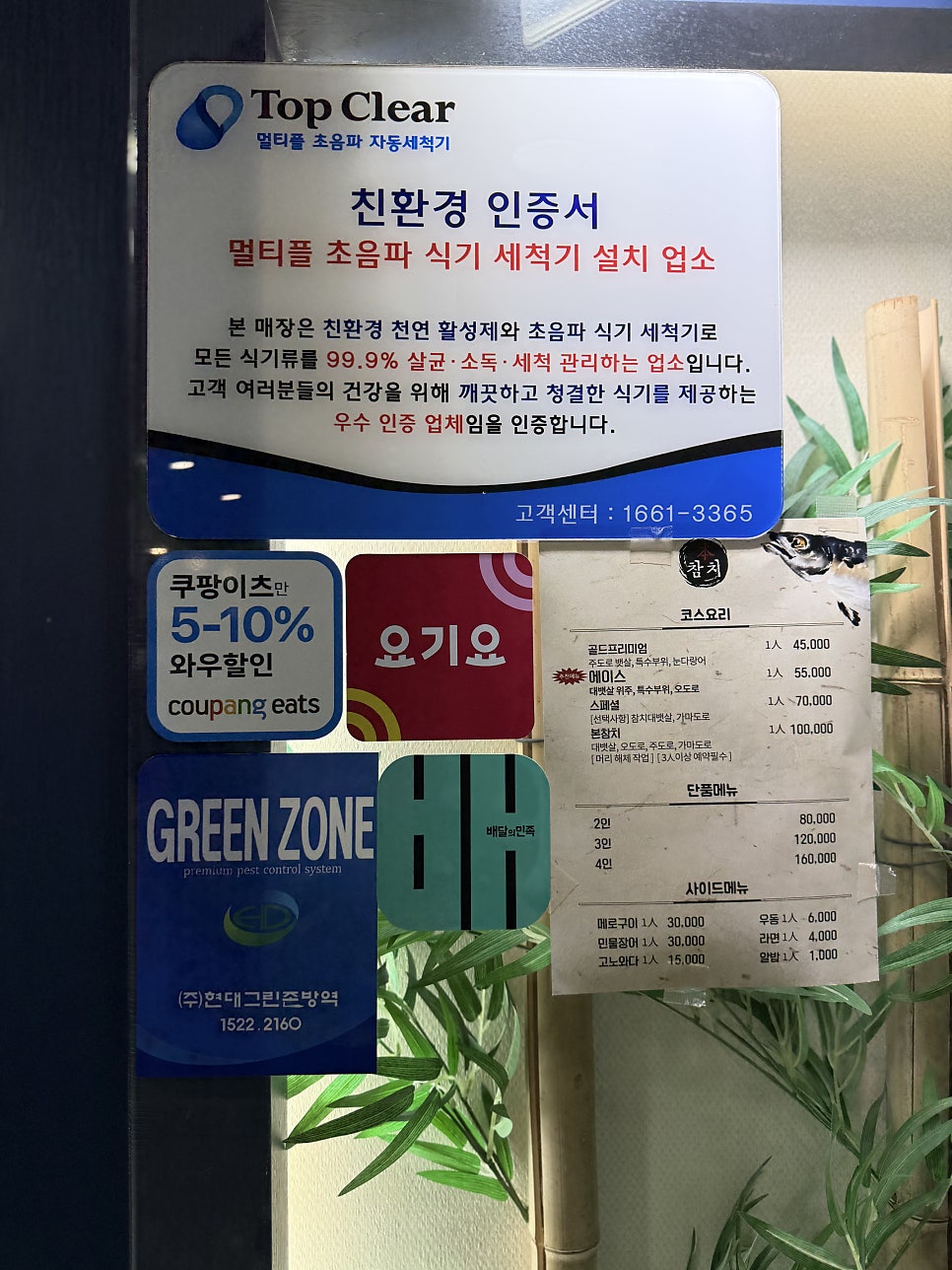 본참치 사진 4