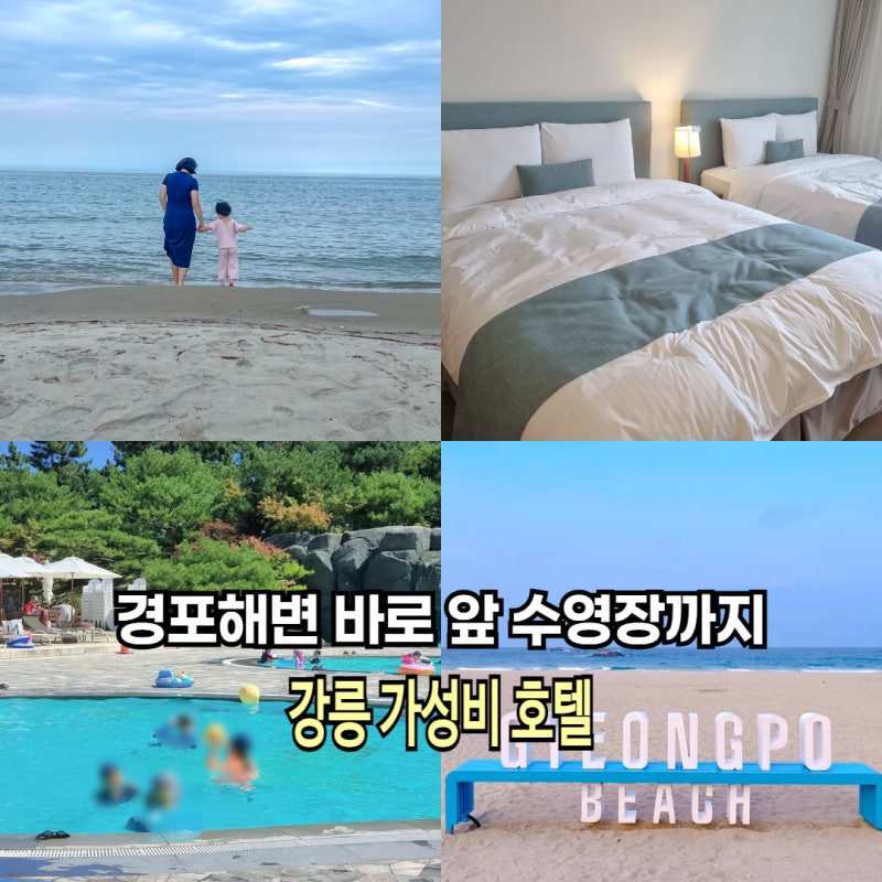 강릉 경포해변 앞 호텔 라카이 샌드파인 수영장 있는 가성비 숙소