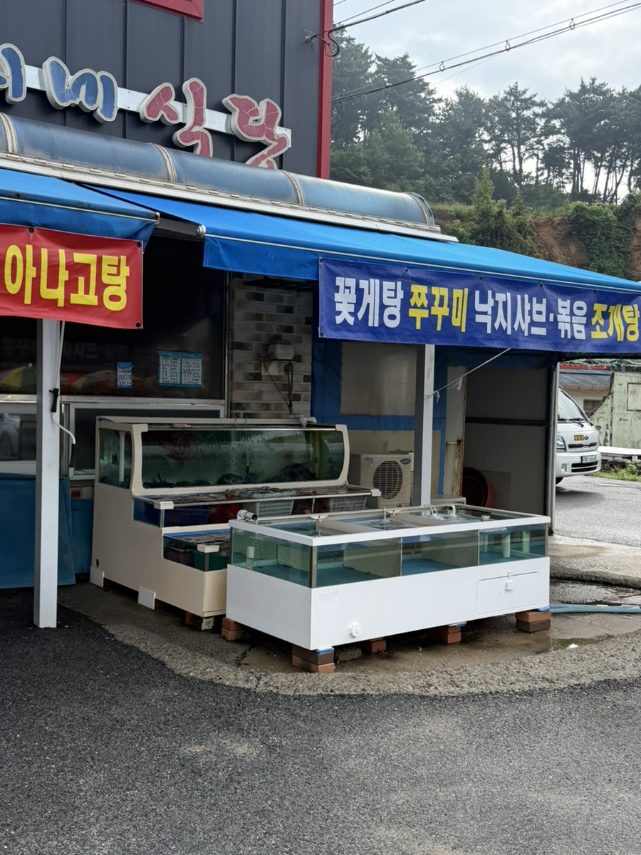 민지네식당 사진 3