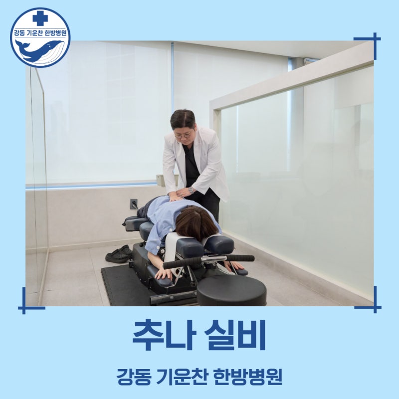 추나 실비 가능할까요? 2026년 보험 기준과 횟수 청구 전 확인할 것들